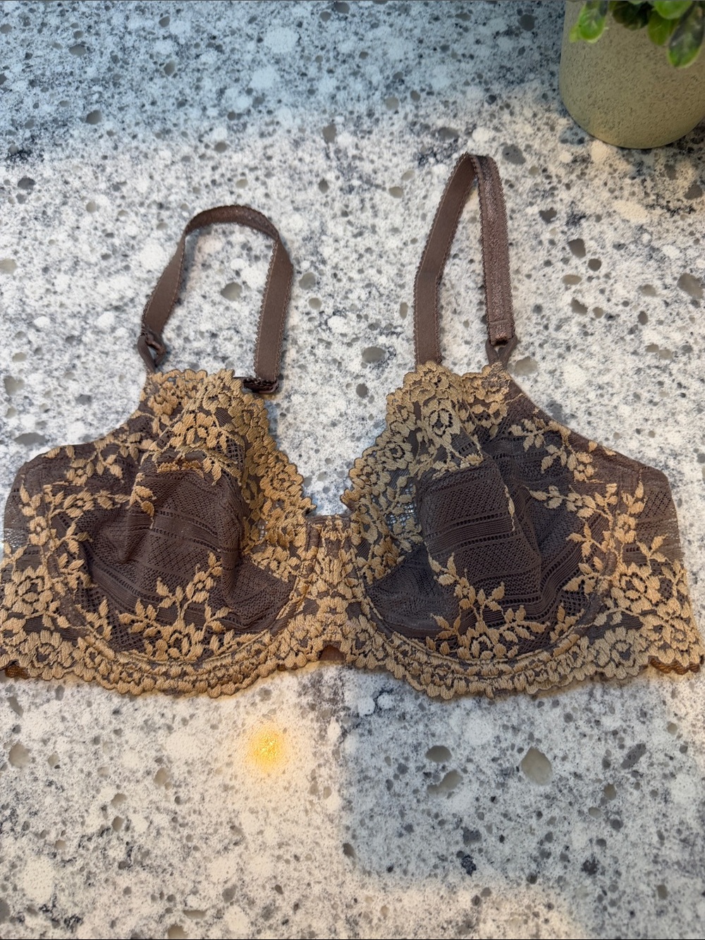 Wacoal Brown Bra with Tan Lace Trim size 34C new condition